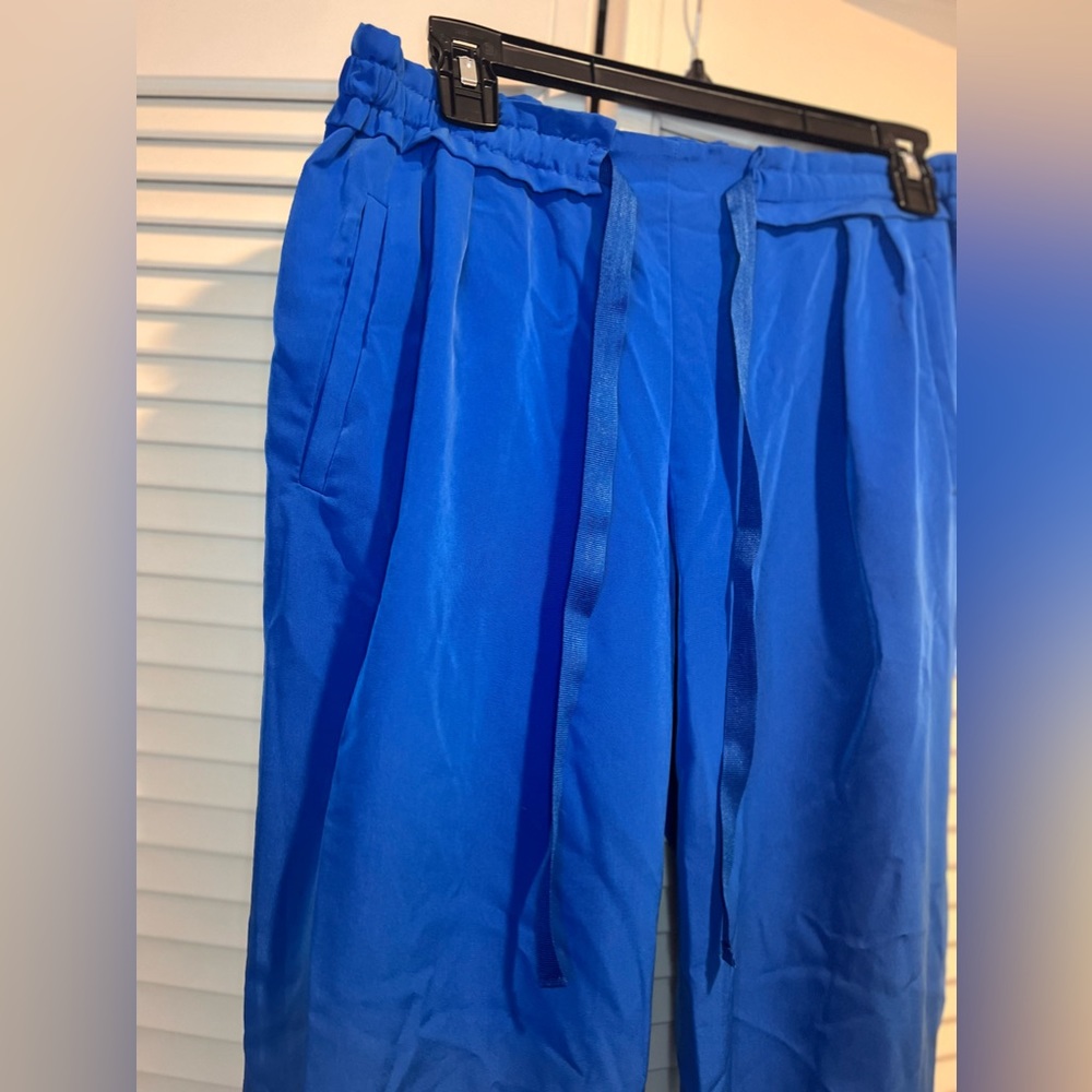ZARA pants